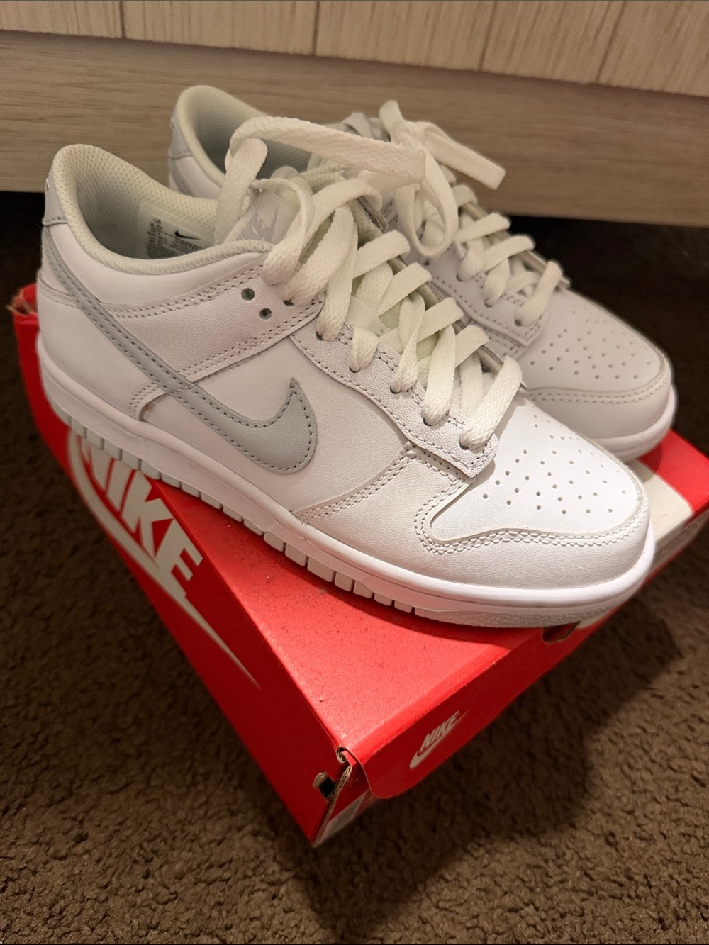 Unisex Nike Dunks White Low-Top Sneakers with Light Gray Swoosh